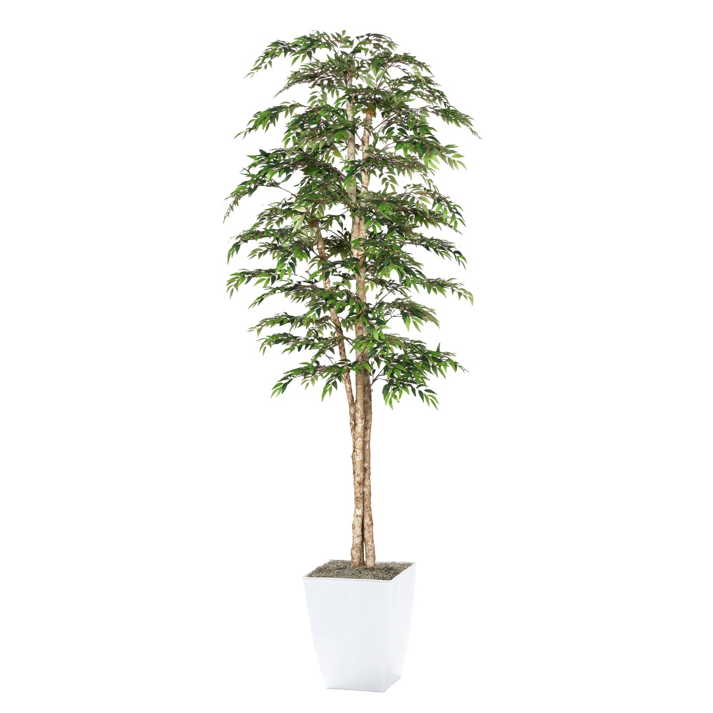 Artificial Ruscus Tree 8ft (Pack of 2)