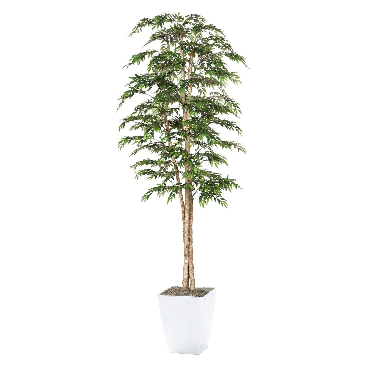 Artificial Ruscus Tree 8ft (Pack of 2)