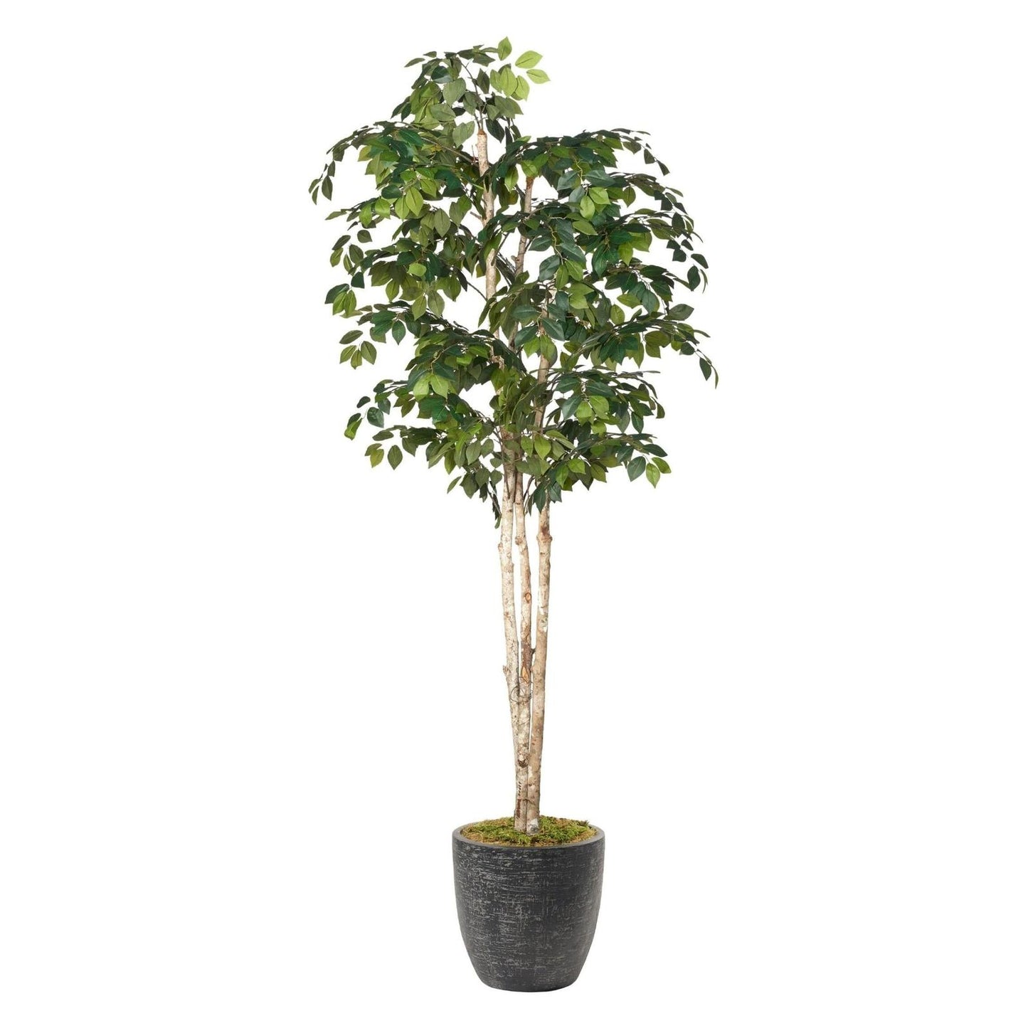 Artificial Sakaki Tree 8ft (Pack of 2)