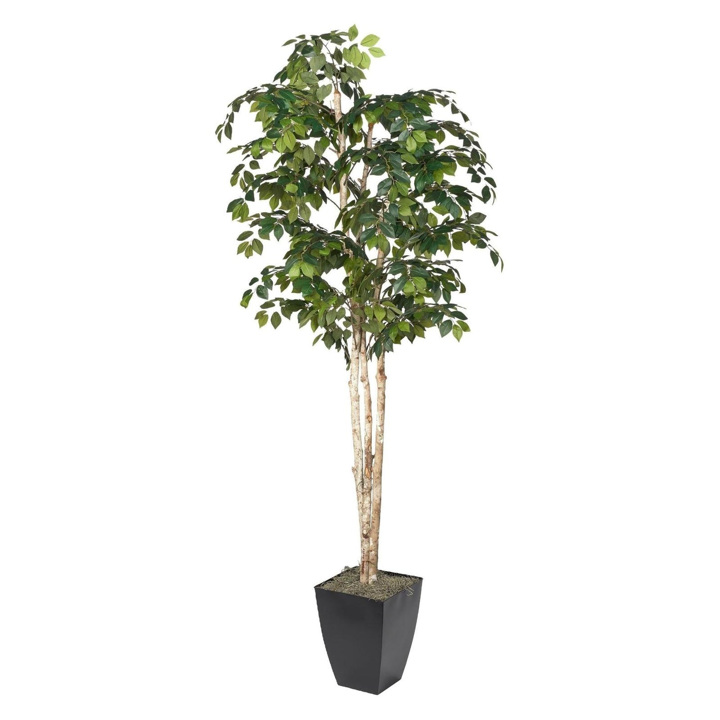 Artificial Sakaki Tree 8ft (Pack of 2)