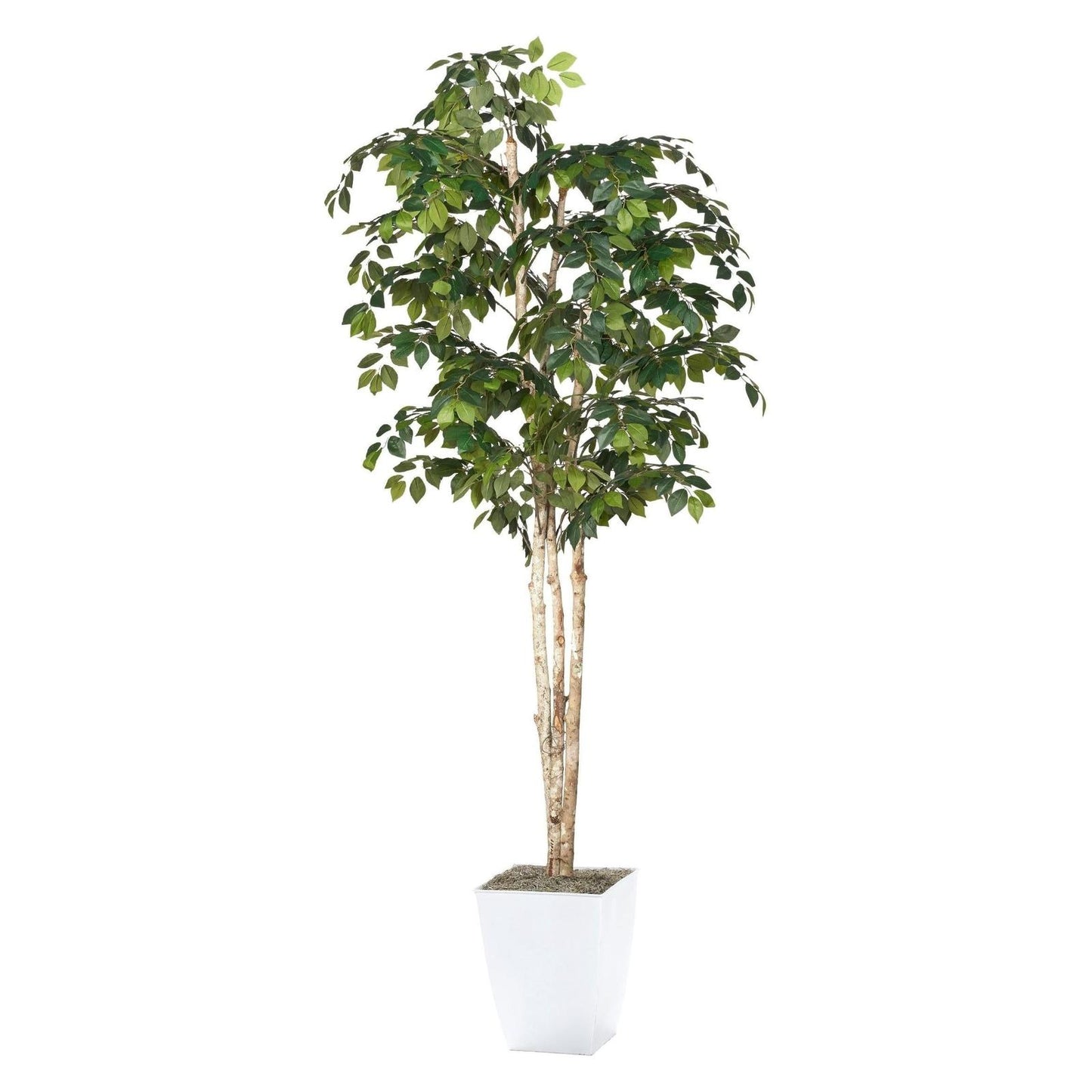 Artificial Sakaki Tree 8ft (Pack of 2)