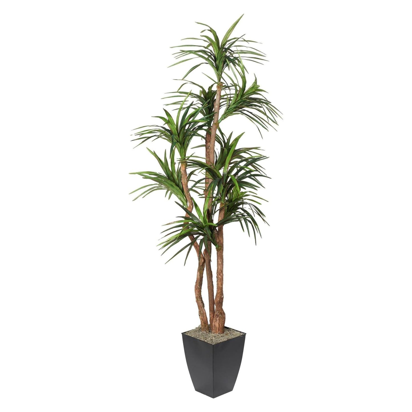 Artificial Dracaena Tree 8ft (Pack of 2)