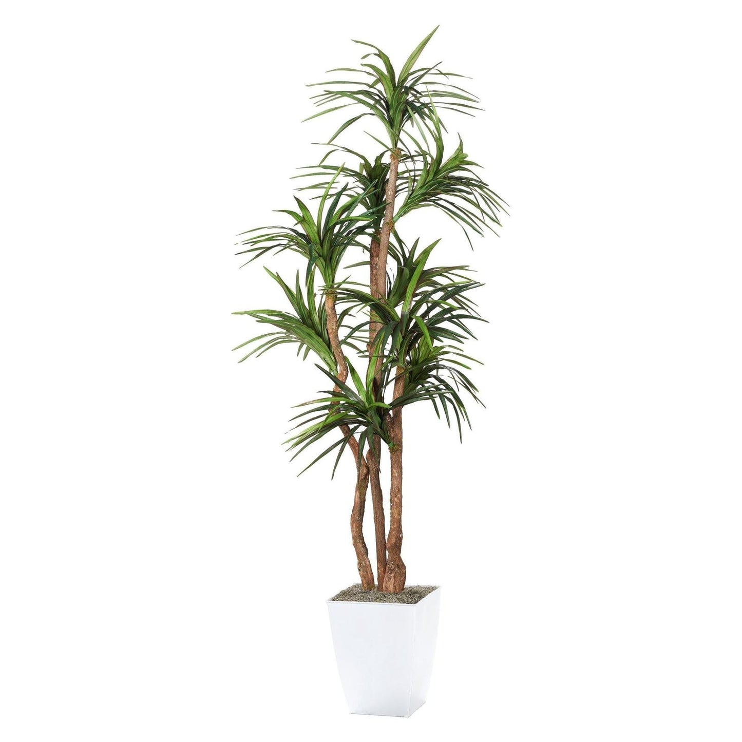 Artificial Dracaena Tree 8ft (Pack of 2)