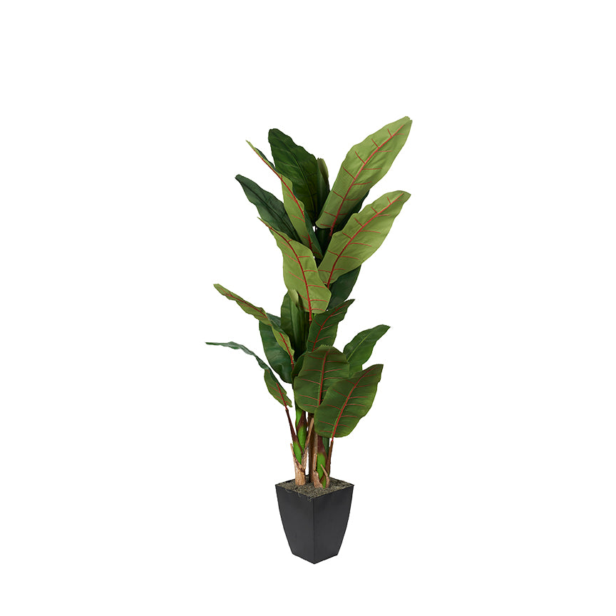 Artificial Banana Tree 8ft (Pack of 2)