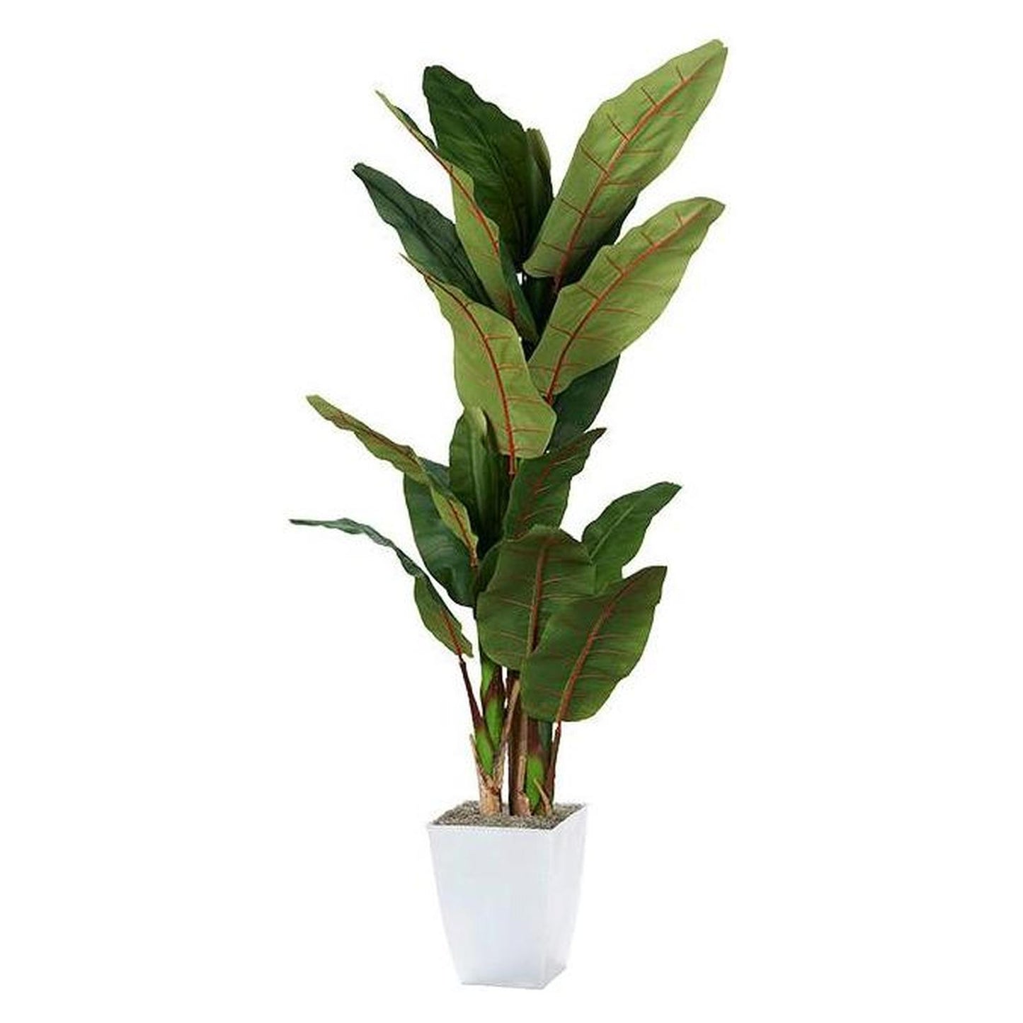 Artificial Banana Tree 8ft (Pack of 2)