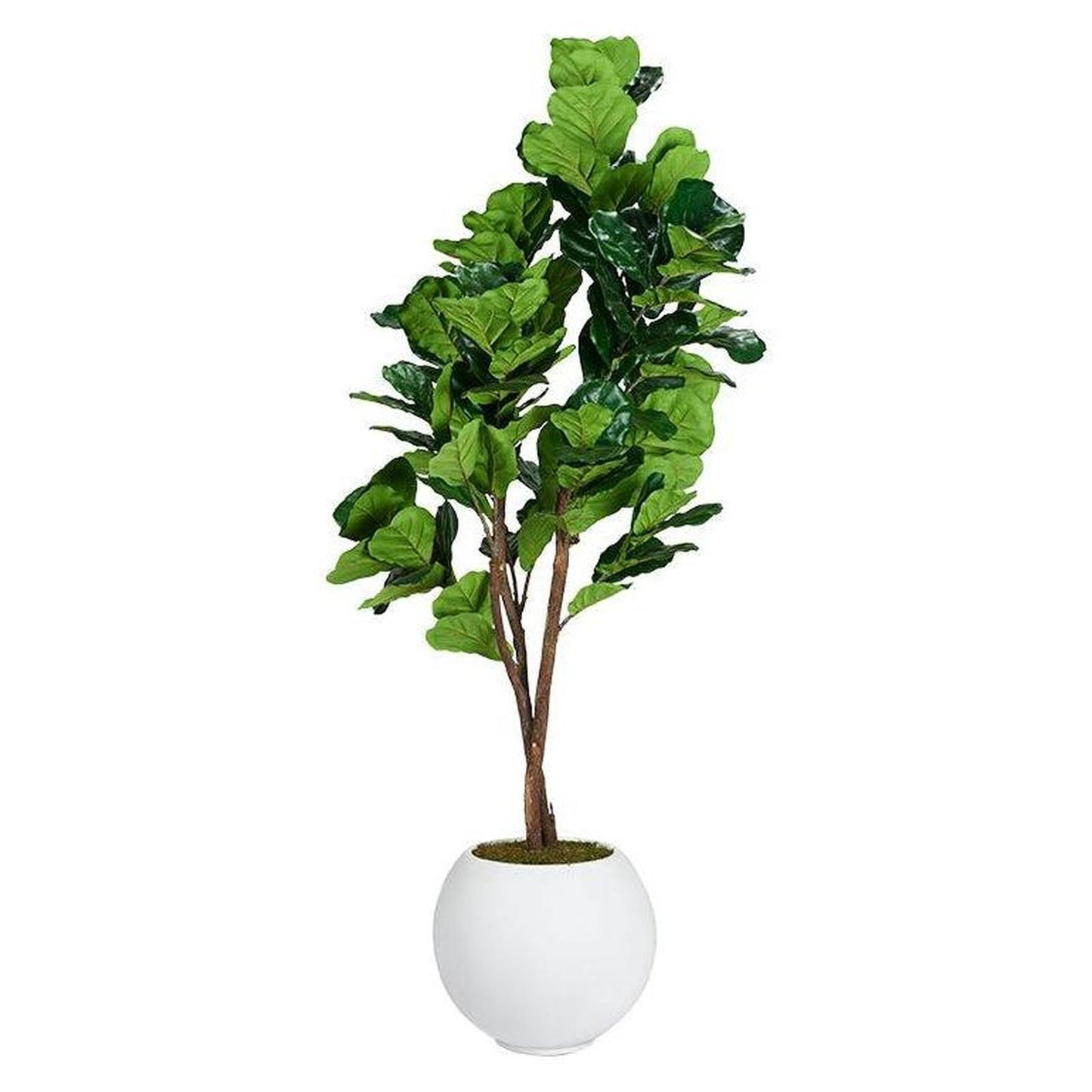 Artificial Real Touch Fiddle Leaf Fig 7ft (Pack of 2)