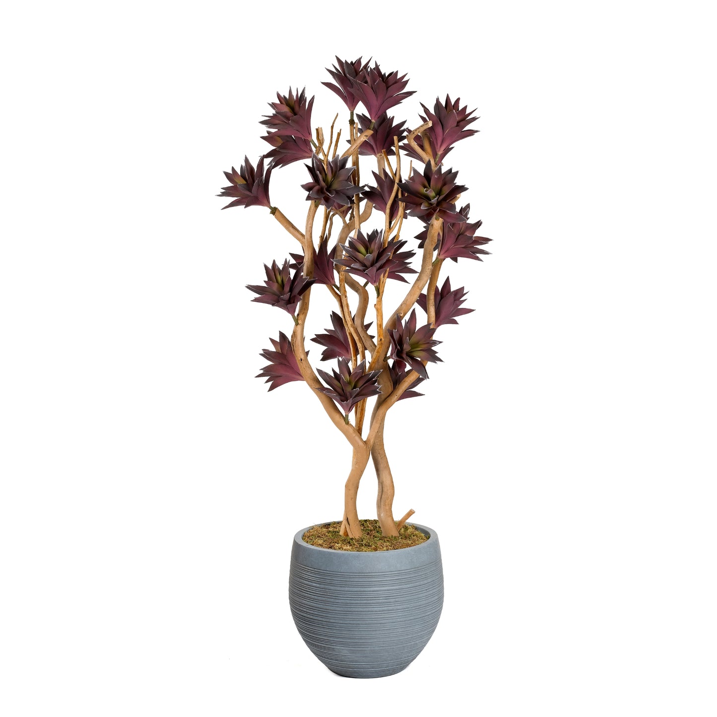 Artificial Frosted Purple Succulent Tree with Sandblasted Dragonwood (Pack of 2)