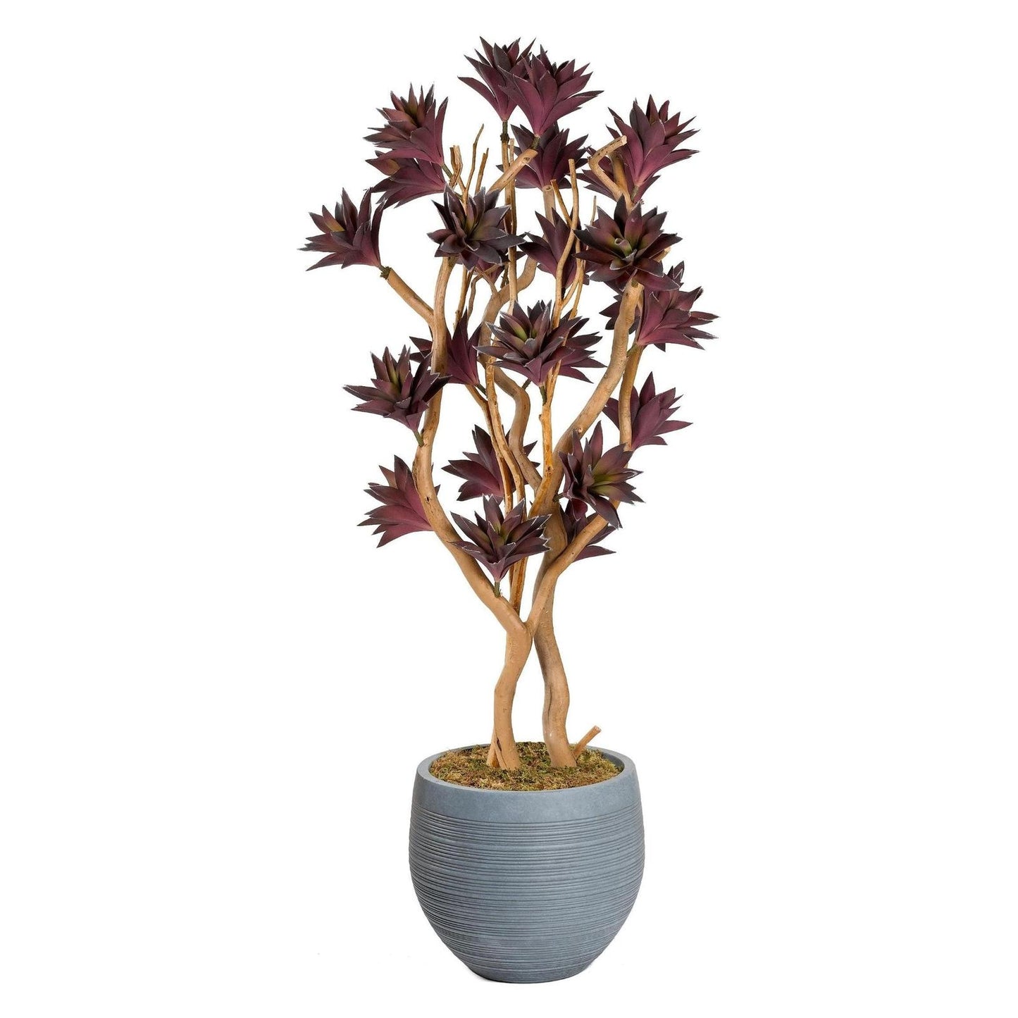 Artificial Frosted Purple Succulent Tree with Sandblasted Dragonwood (Pack of 2)