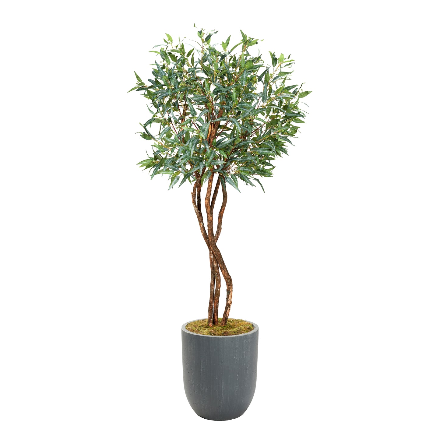 Artificial Eucalyptus Tree 8ft (Pack of 2)
