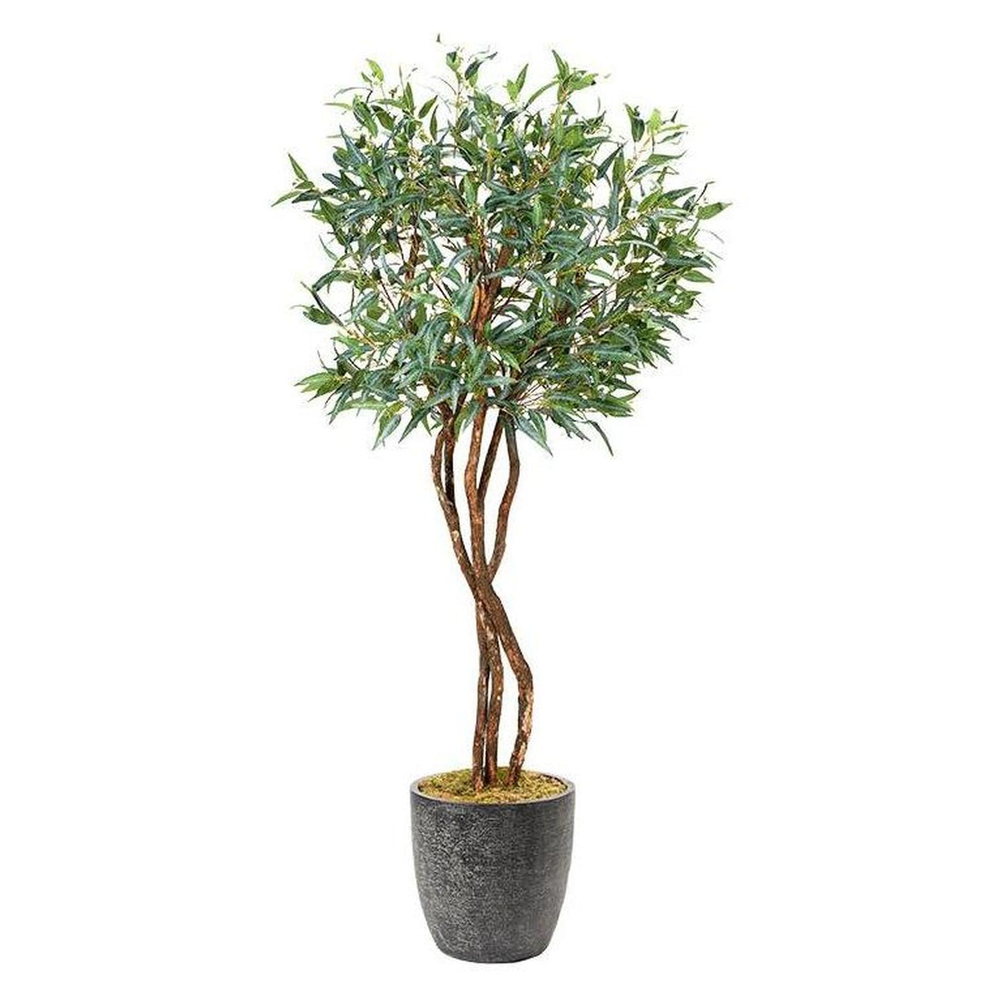 Artificial Eucalyptus Tree 8ft (Pack of 2)