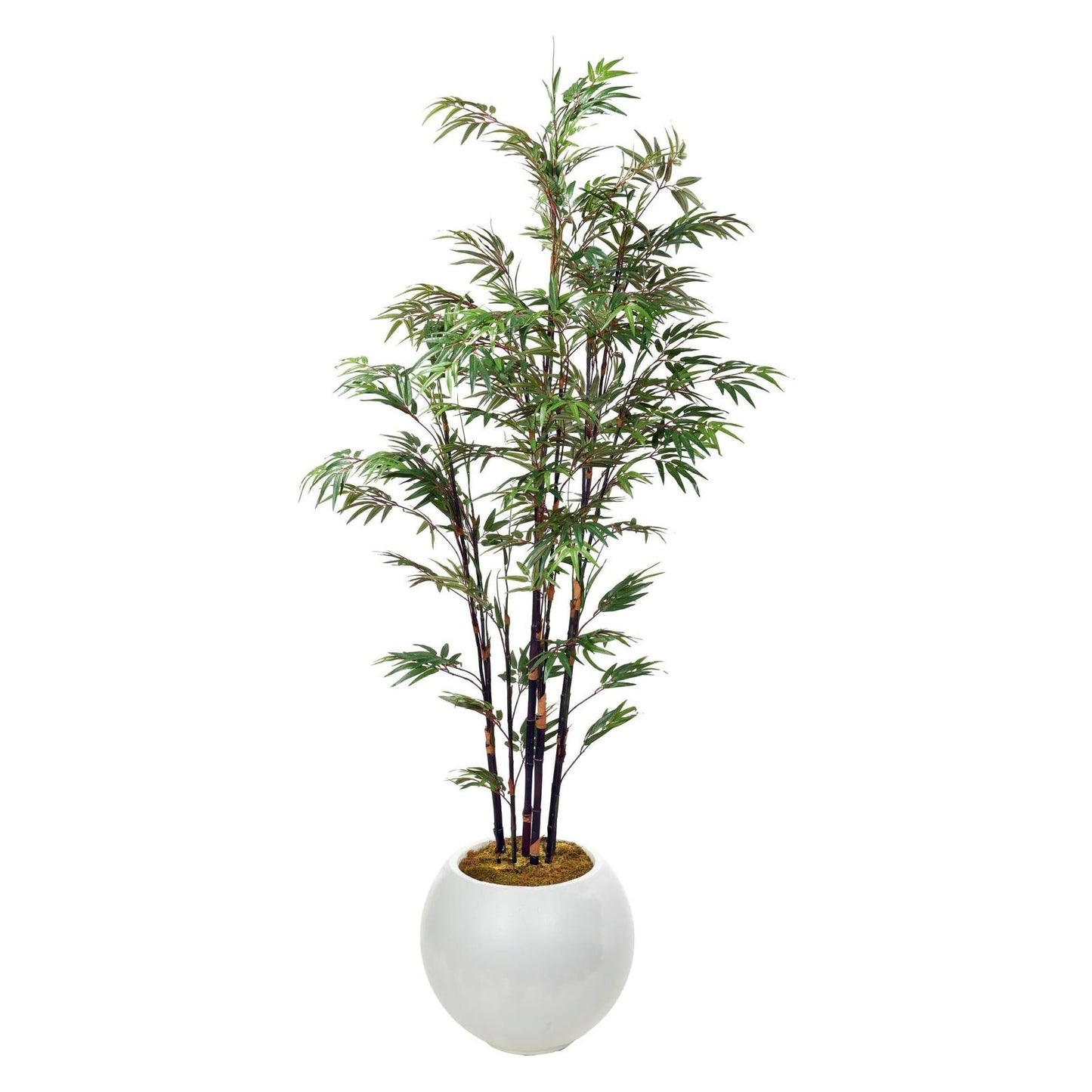 Artificial Black Bamboo Tree (Pack of 2)