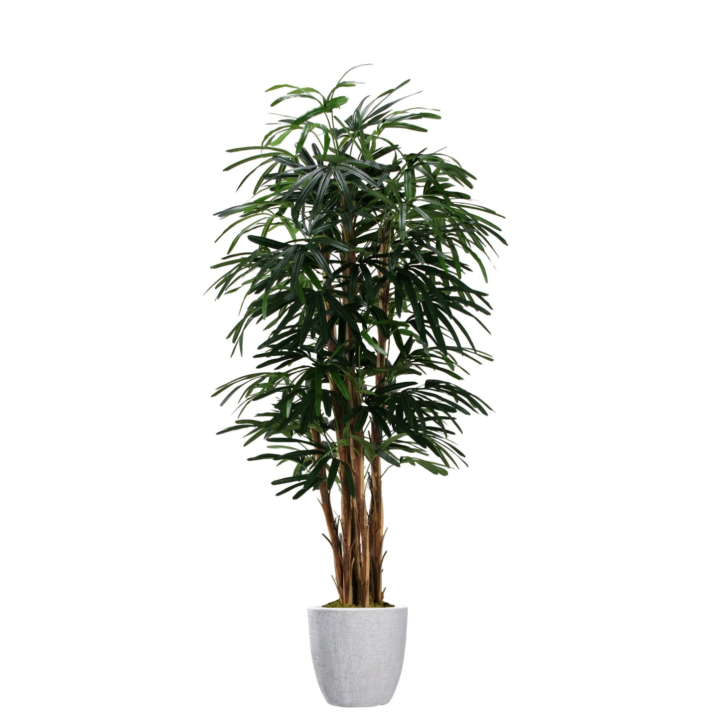 Artificial Lady Palm (Pack of 2)
