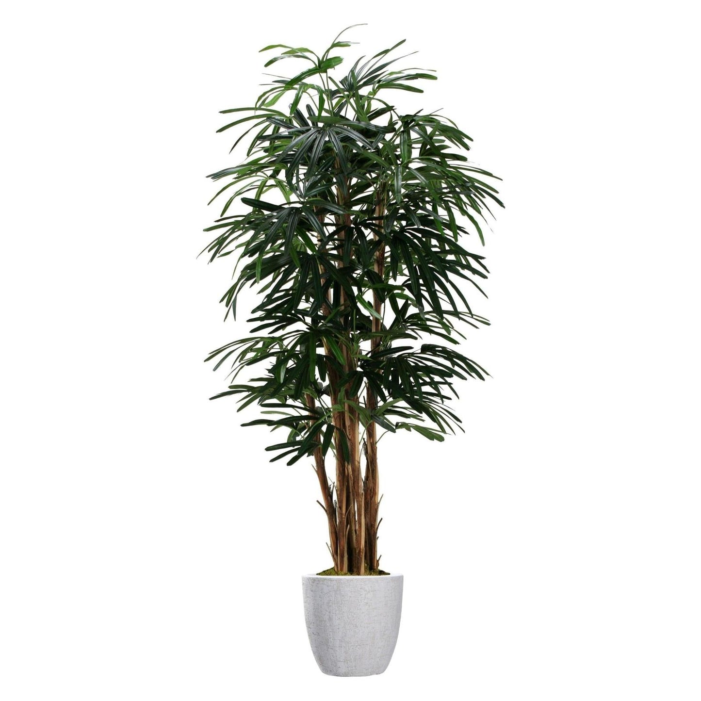 Artificial Lady Palm (Pack of 2)