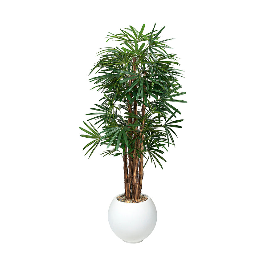 Artificial Lady Palm 7ft (Pack of 2)