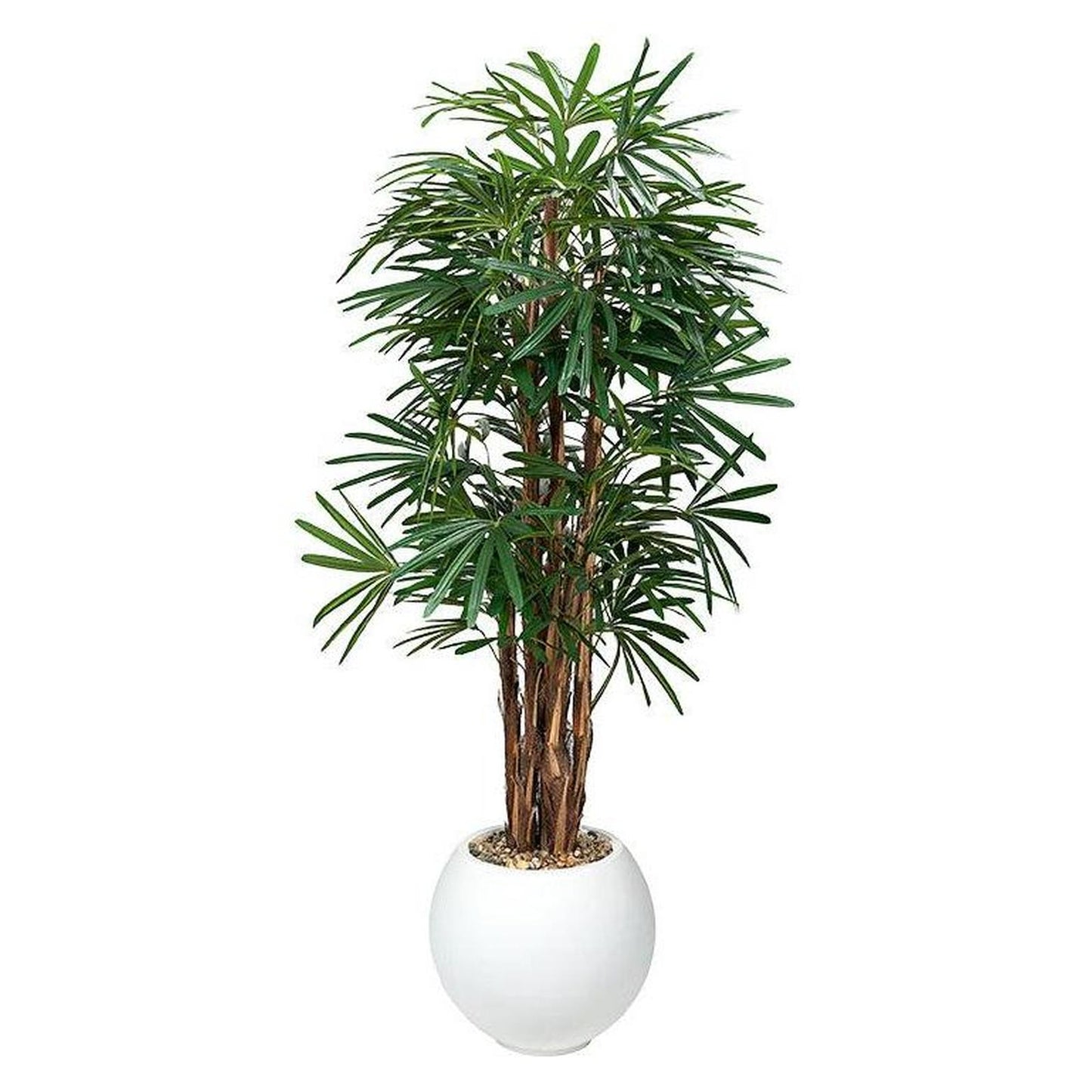 Artificial Lady Palm 7ft (Pack of 2)