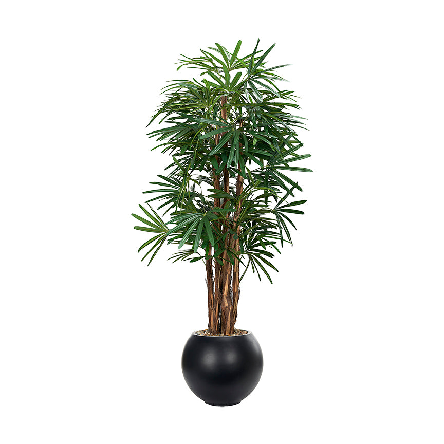 Artificial Lady Palm 7ft (Pack of 2)
