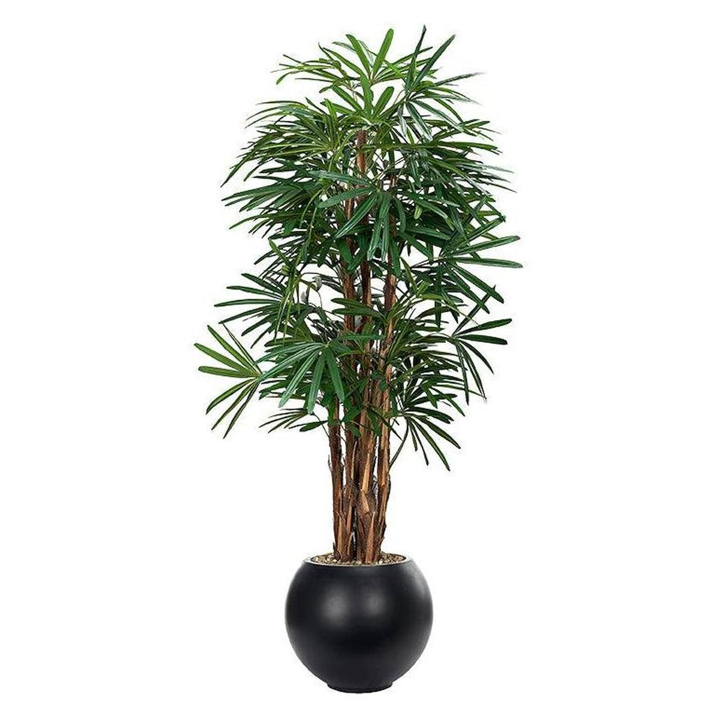 Artificial Lady Palm 7ft (Pack of 2)