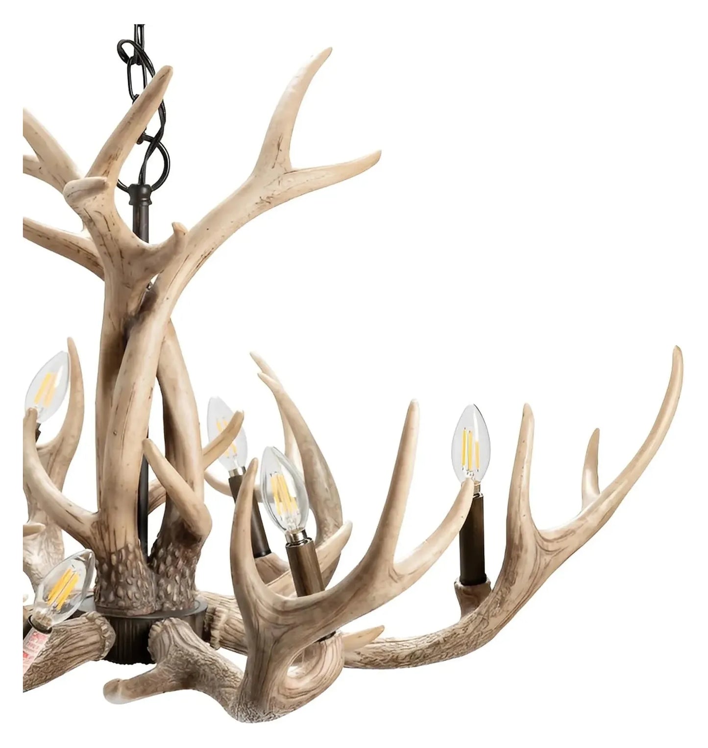 Tarazed of Waterville Chandelier, Brown, Rustic, Antlers
