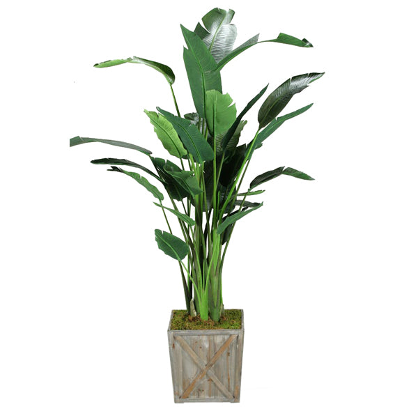 Artificial 8ft Traveller Palm 8ft