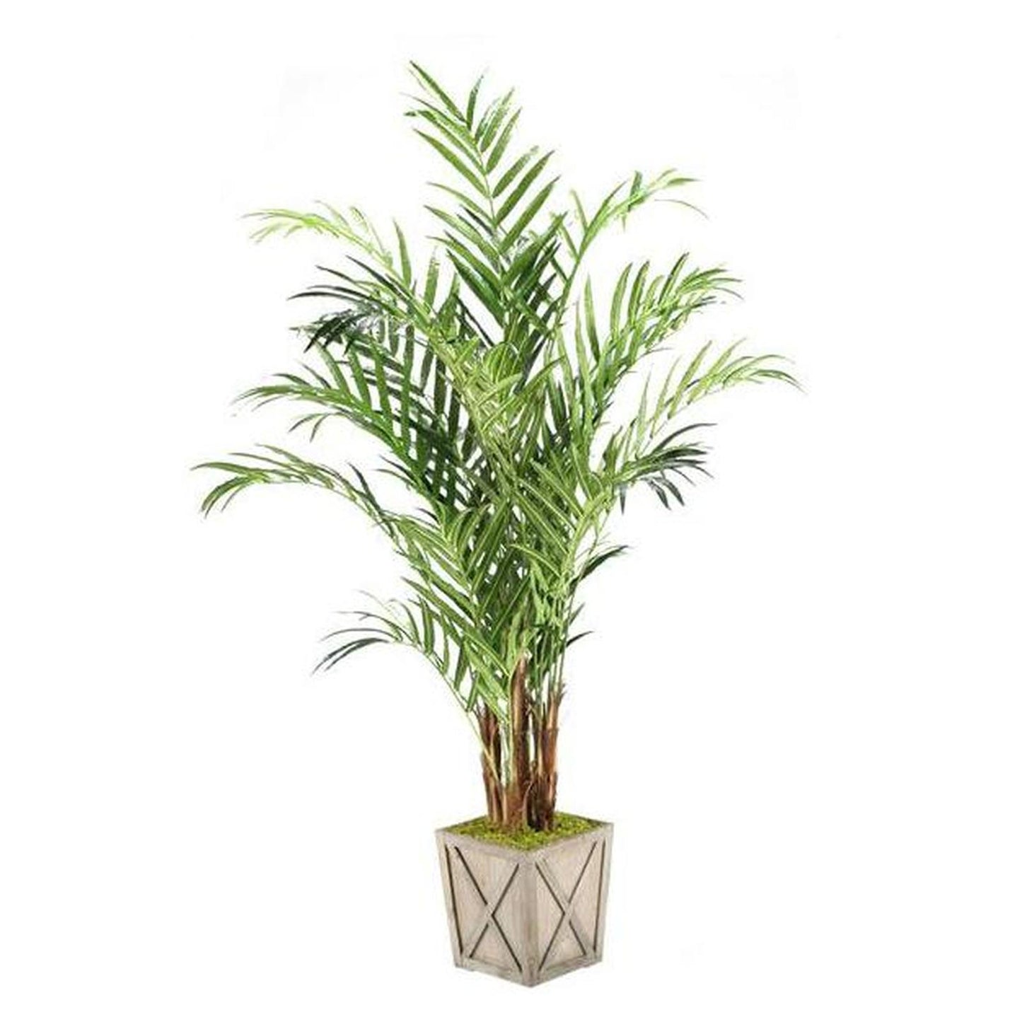 Artificial 8ft Kentia Palm Tree 8ft (Pack of 2)