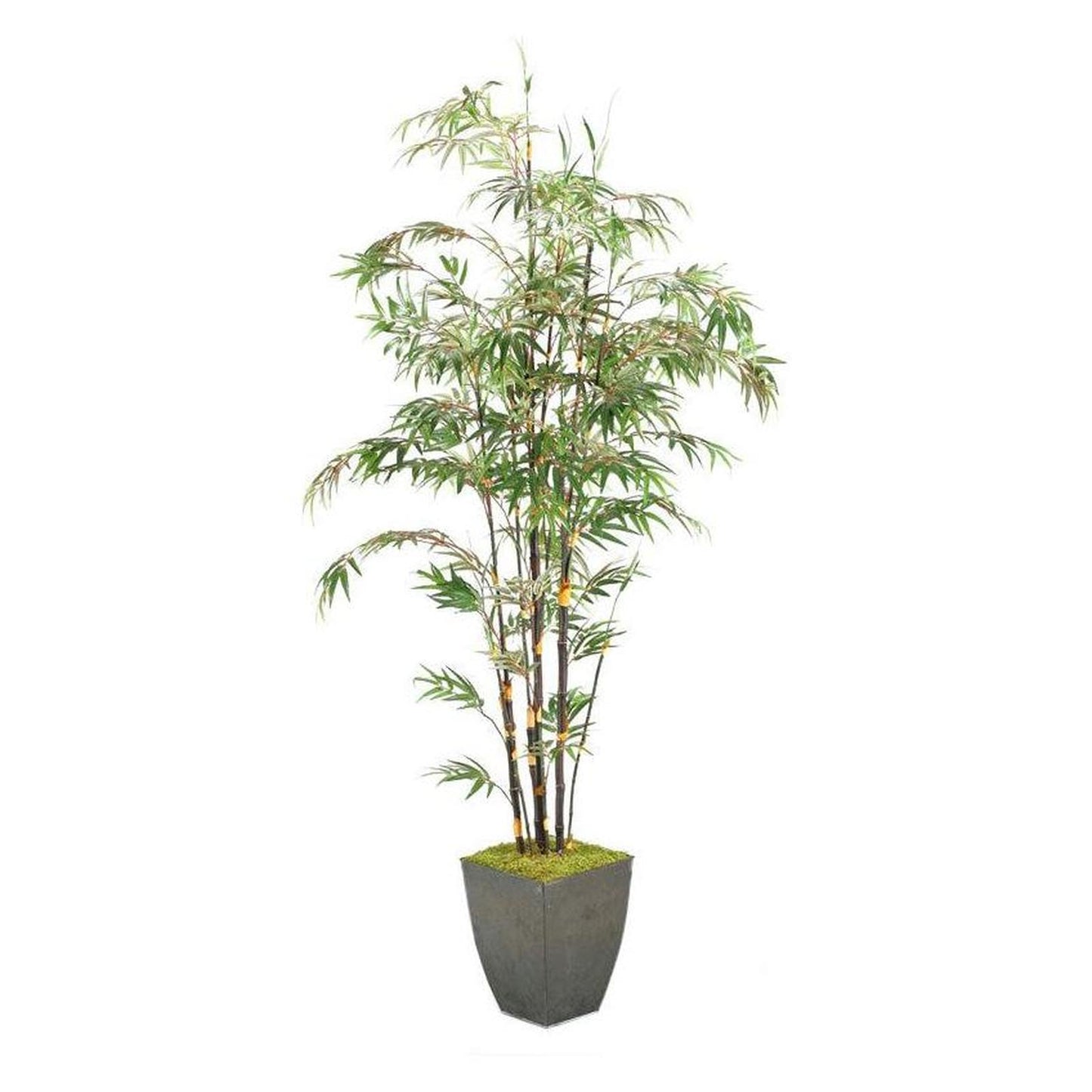 Artificial 8ft Black Bamboo Tree 8ft (Pack of 2)