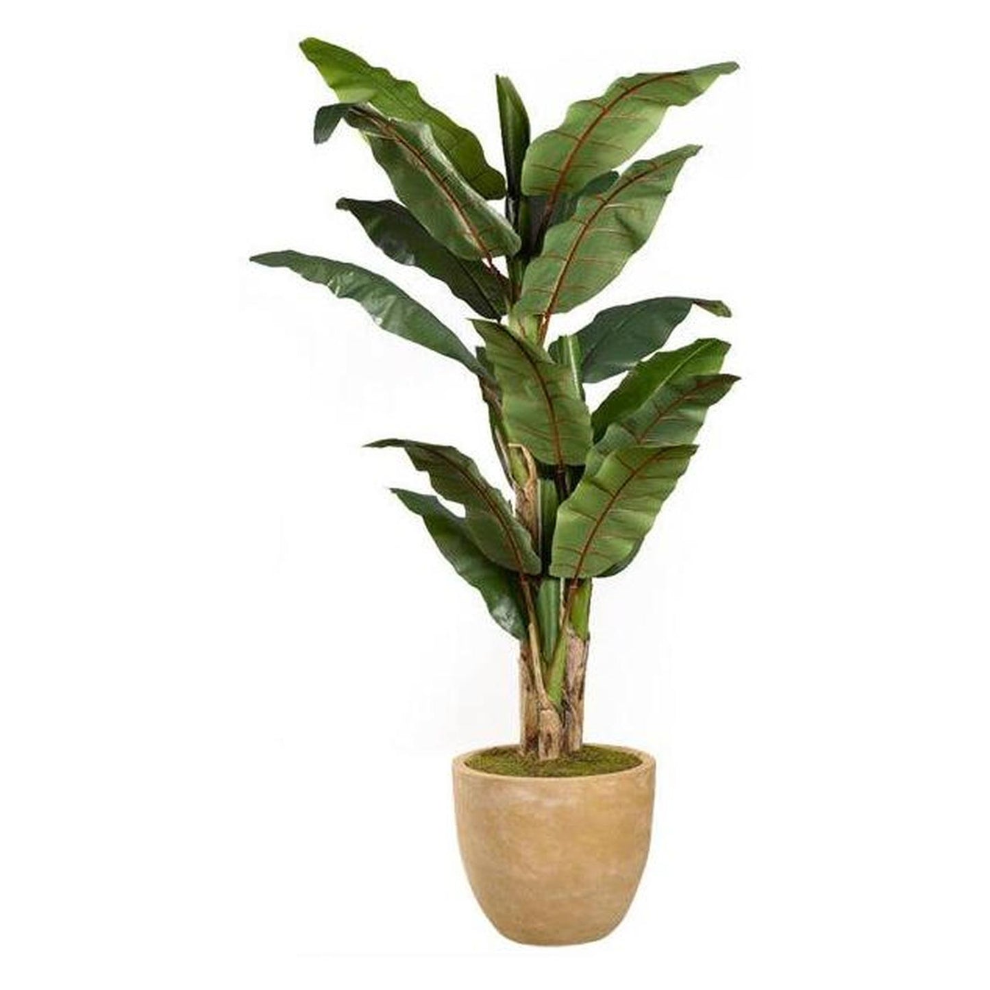 Artificial 8ft Banana Tree 8ft (Pack of 2)