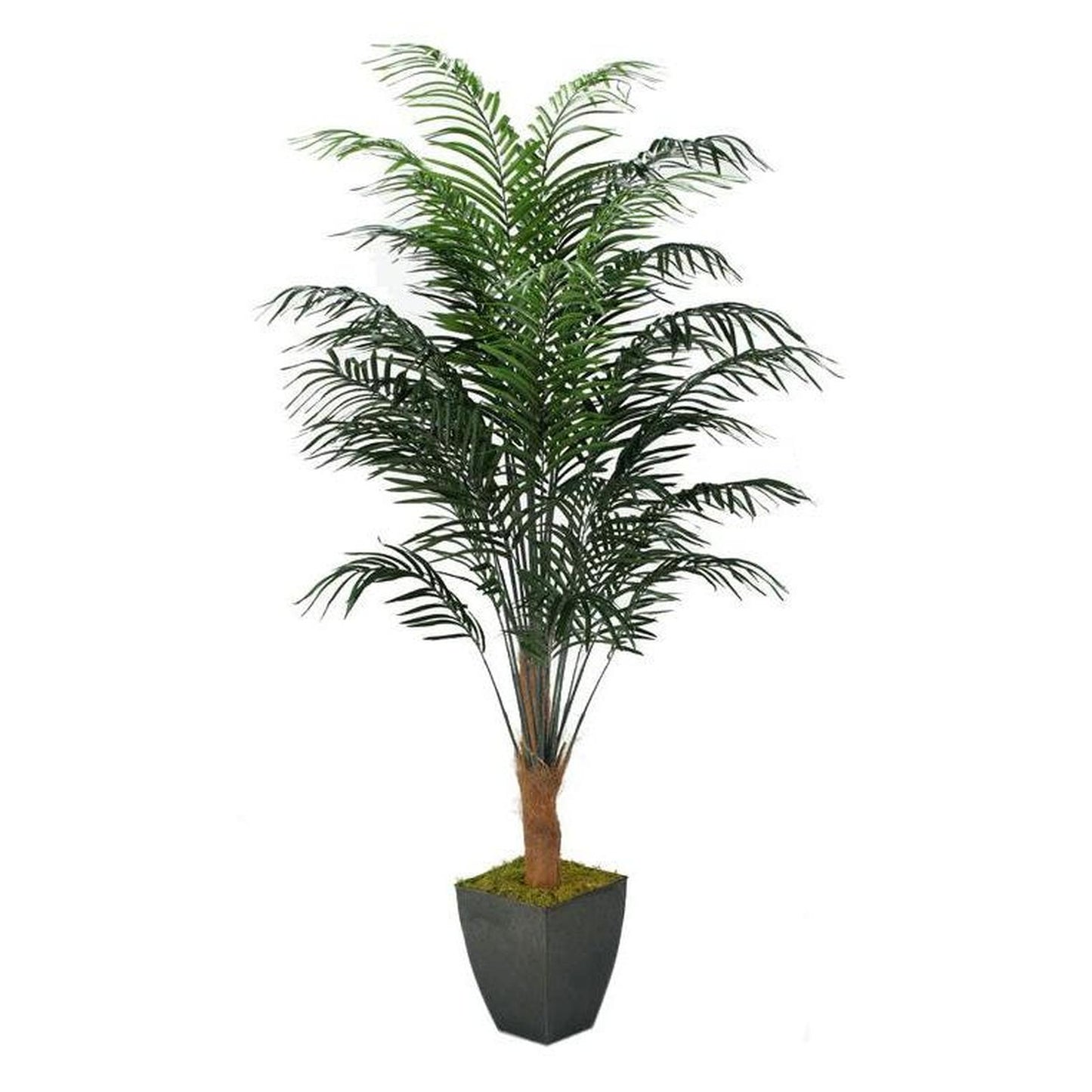 Artificial 8ft Dwarf Areca Palm 8ft (Pack of 2)