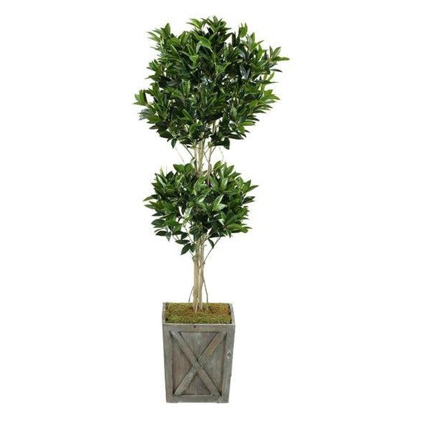 Artificial Shikiba Topiary (Pack of 2)