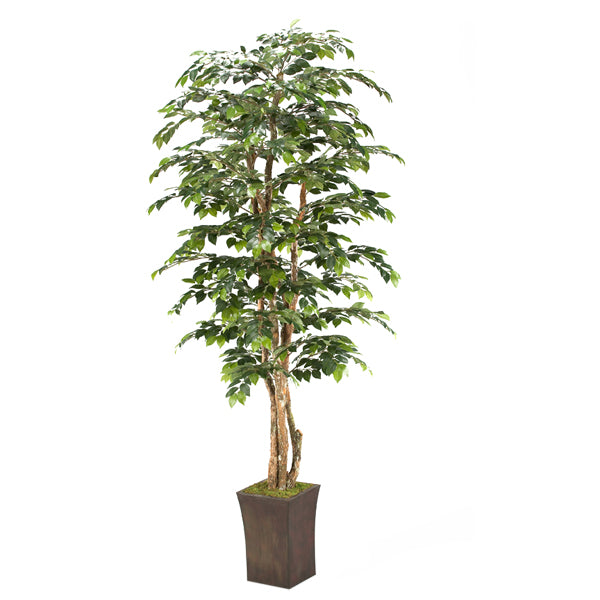 Artificial 8ft Sakaki Tree 8ft (Pack of 2)