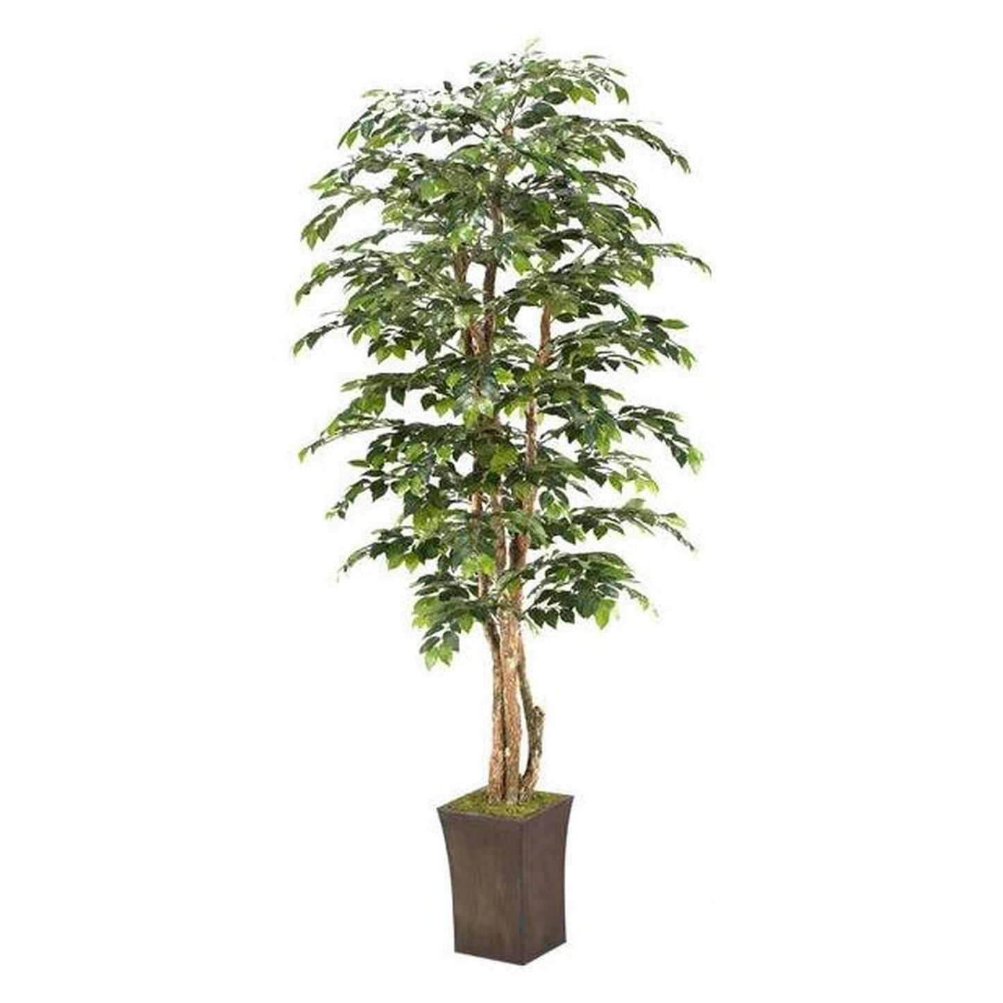 Artificial 8ft Sakaki Tree 8ft (Pack of 2)