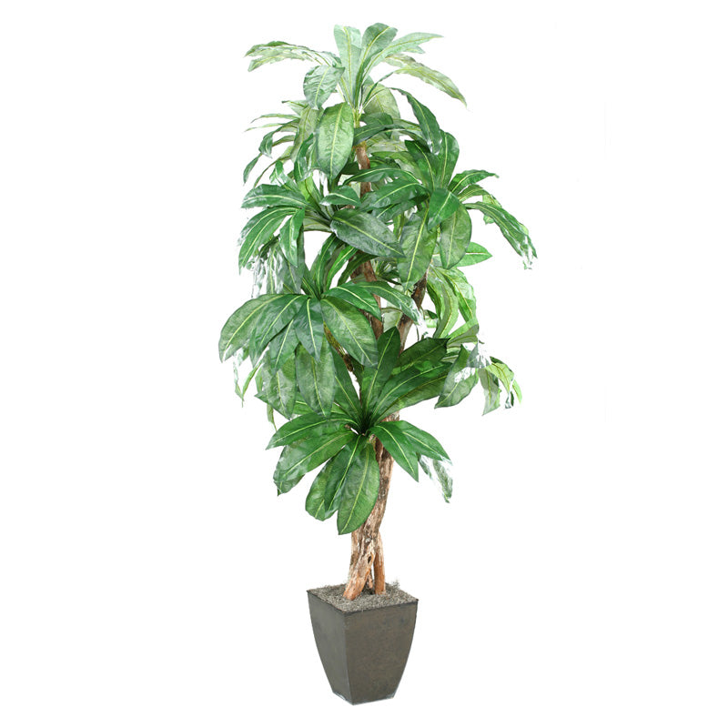 Artificial 8ft Birdnest Palm 8ft (Pack of 2)