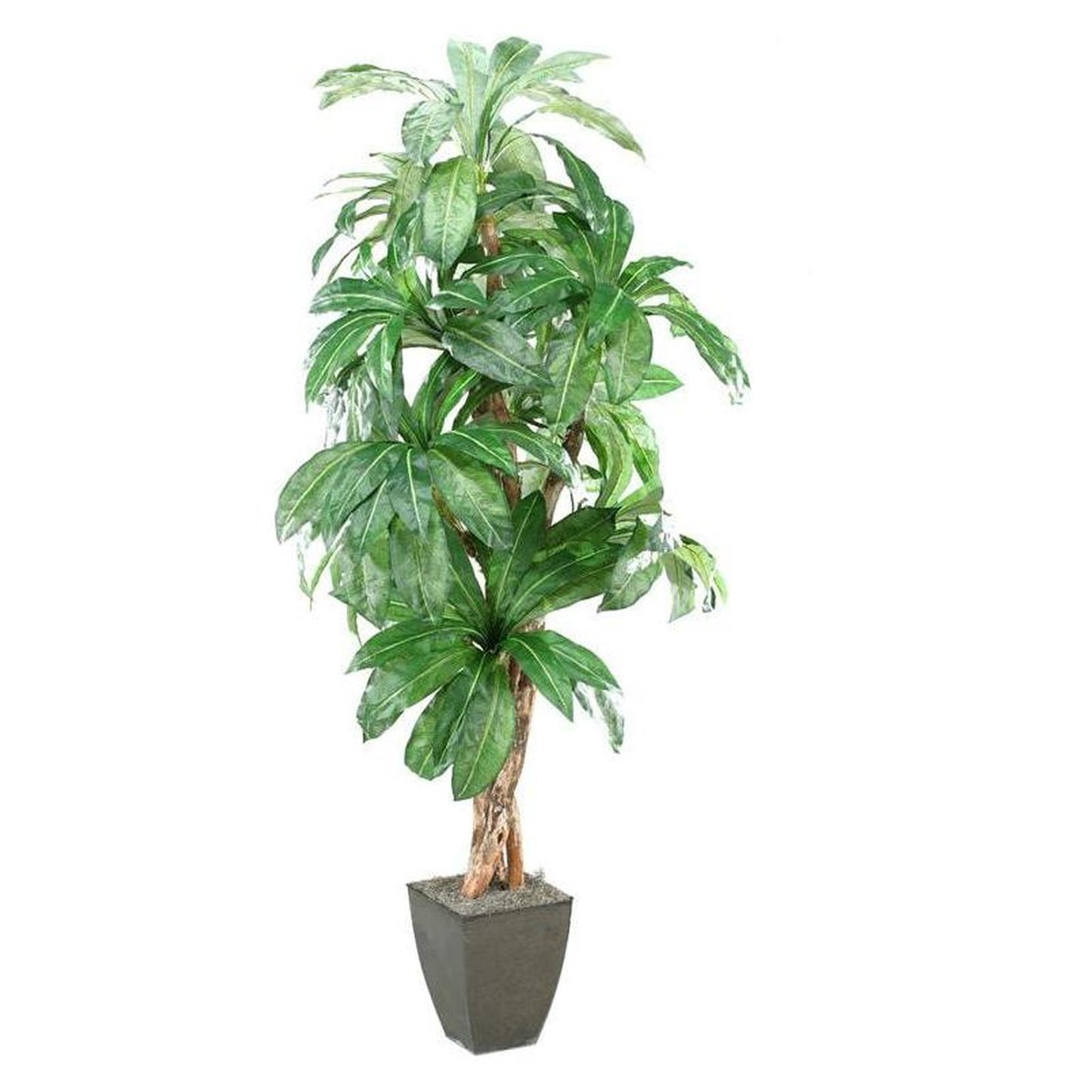 Artificial 8ft Birdnest Palm 8ft (Pack of 2)