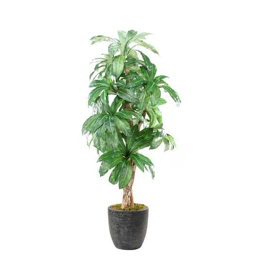 Artificial Birdnest Palm 8ft (Pack of 2)