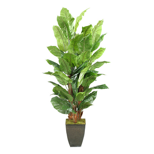 Artificial 8ft Spath Plants 8ft (Pack of 2)