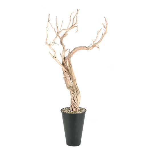 Artificial 7ft Ghostwood Trunks 7ft