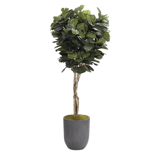 Artificial 7ft Fiddle Leaf Fig Tree 7ft (Pack of 2)