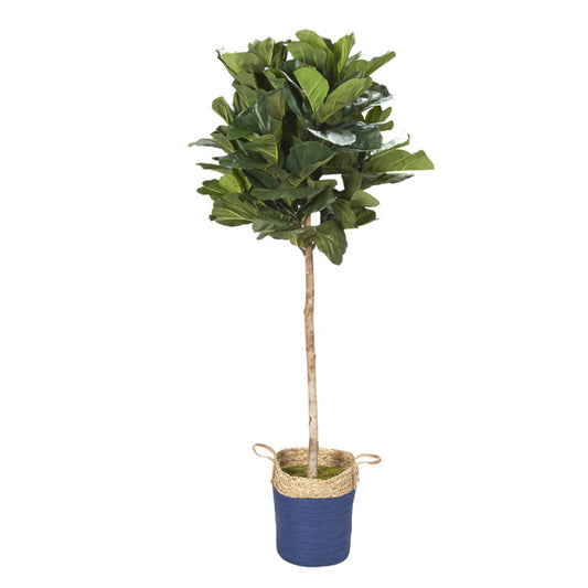 Artificial 7ft Fiddle Leaf Fig Tree 7ft (Pack of 2)