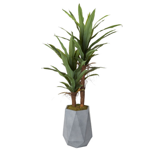 Artificial 7ft Corn Plant 7ft (Pack of 2)