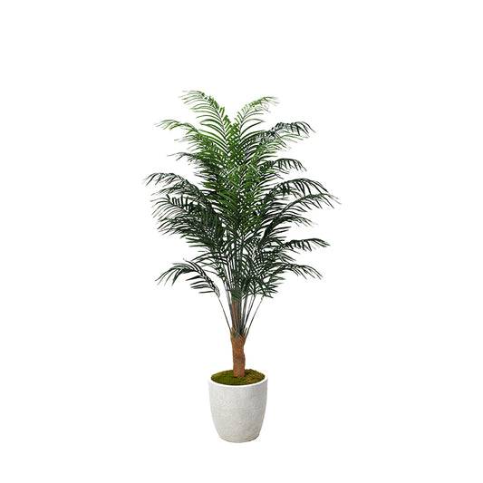 Artificial Areca Palm 8ft (Pack of 2)