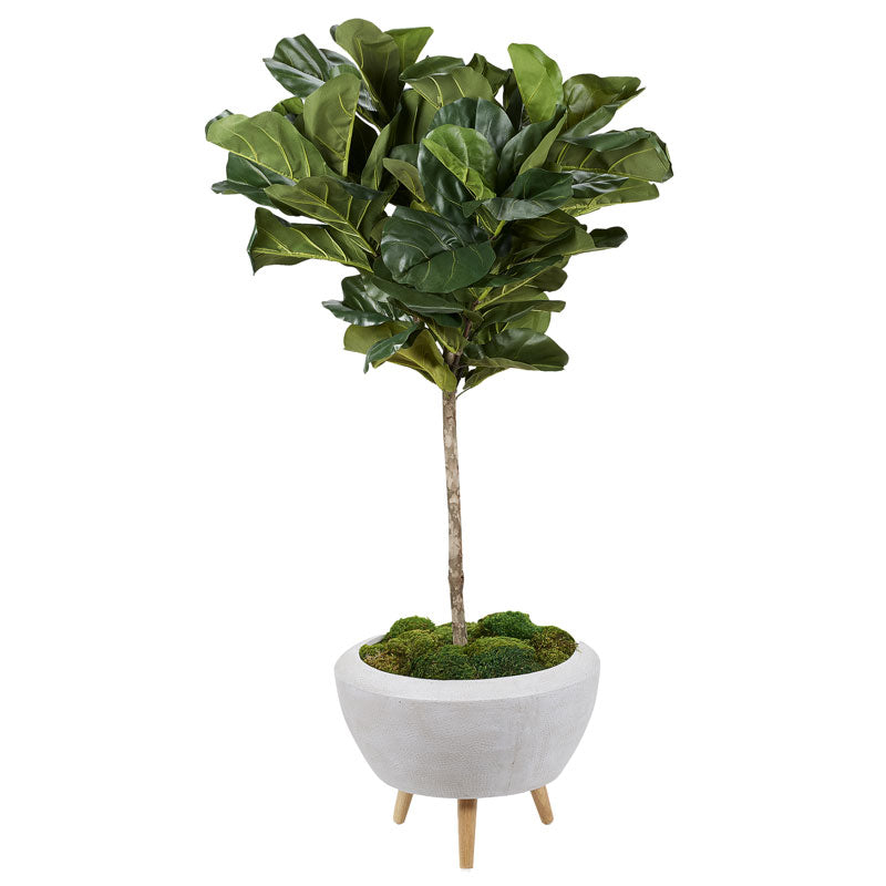 Artificial Fiddle Leaf Fig Tree (Pack of 2)