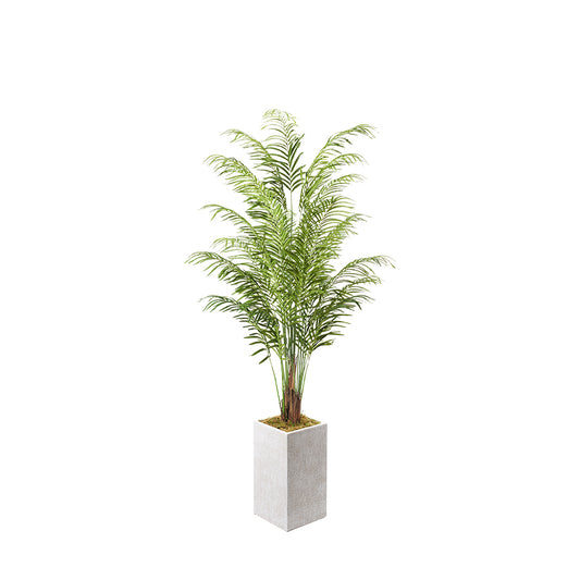 Artificial Areca Palm 8ft (Pack of 2)