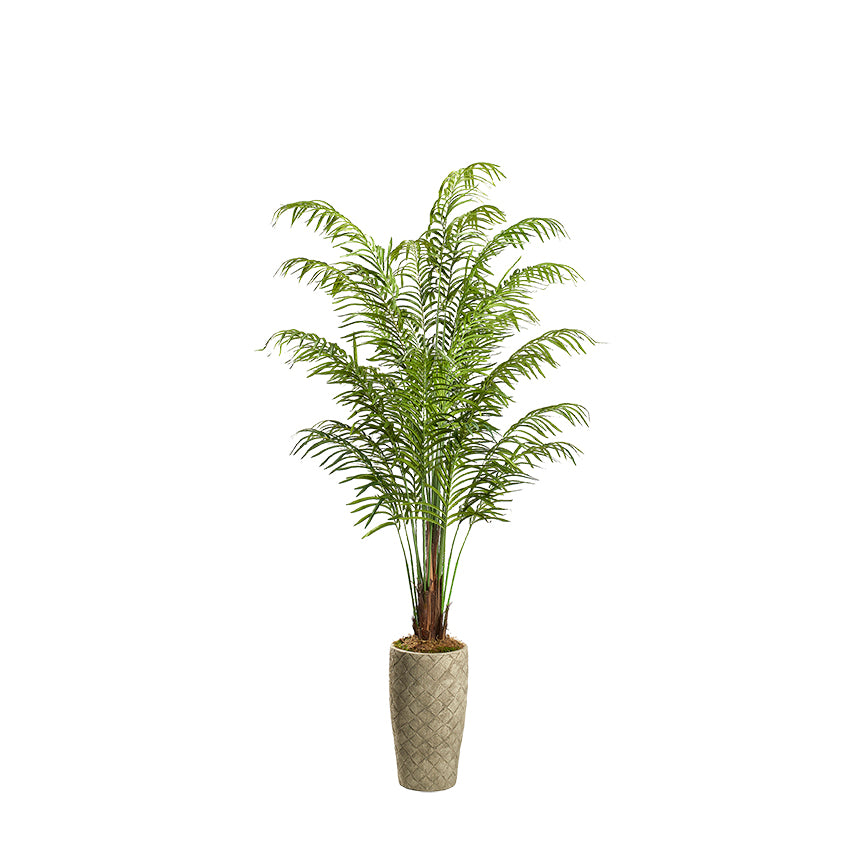 Artificial Areca Palm 8ft (Pack of 2)