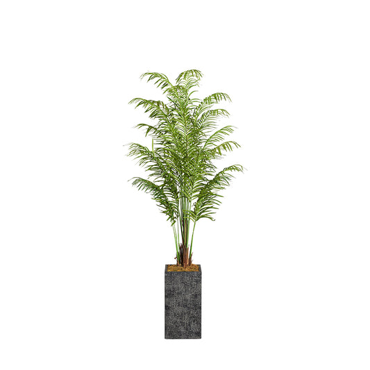 Artificial Areca Palm 8ft (Pack of 2)