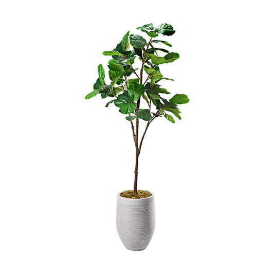 Artificial Fiddle Leaf Fig 7.5ft (Pack of 2)