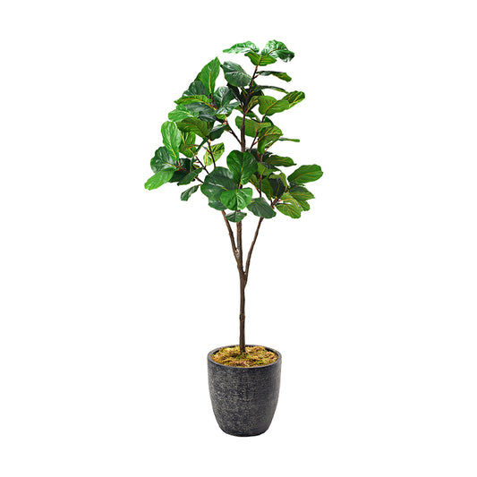 Artificial Fiddle Leaf Fig 7ft (Pack of 2)