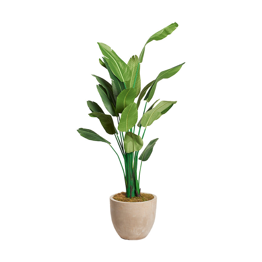 Artificial Traveler Palm 9ft (Pack of 2)