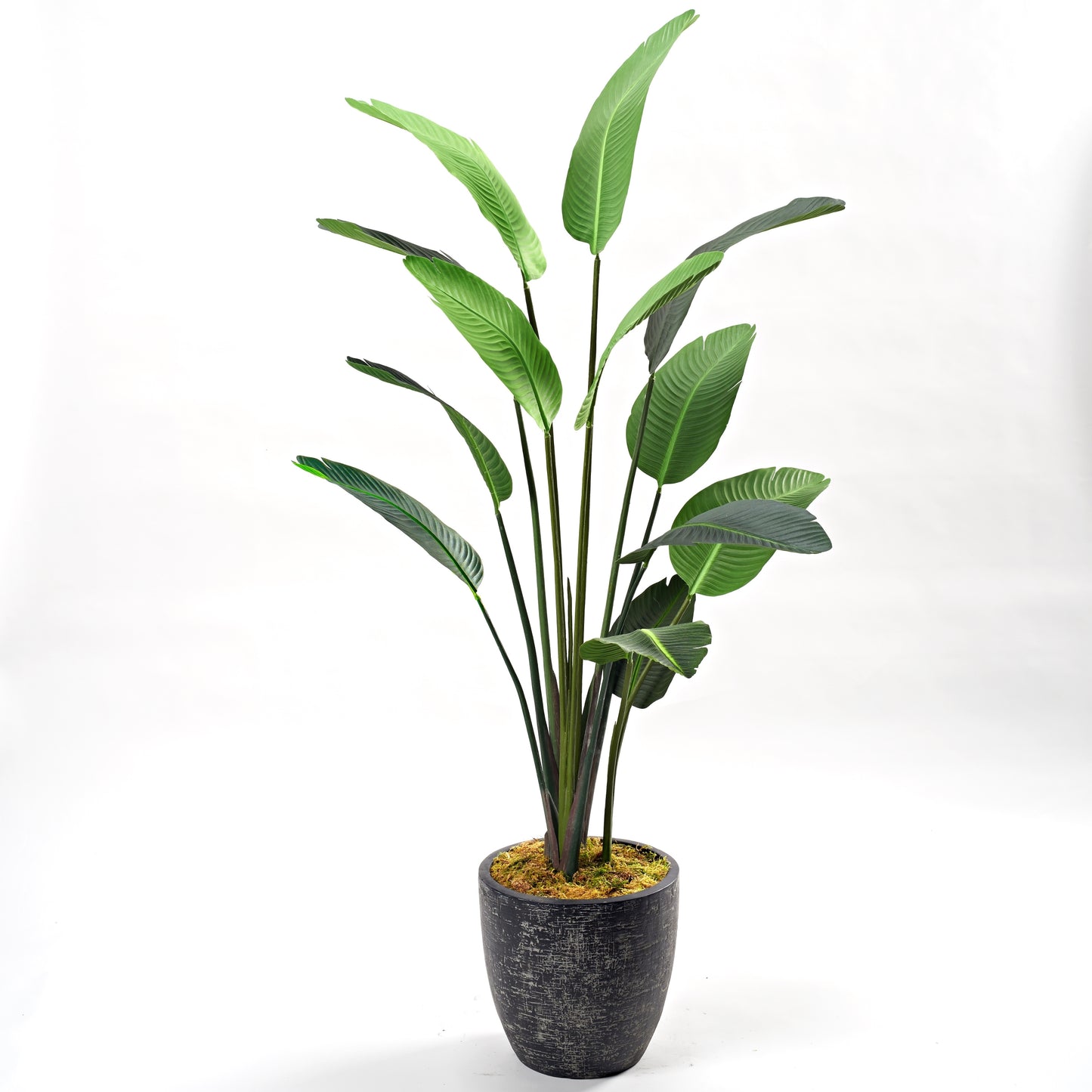 Artificial Traveler Palm 8ft (Pack of 2)