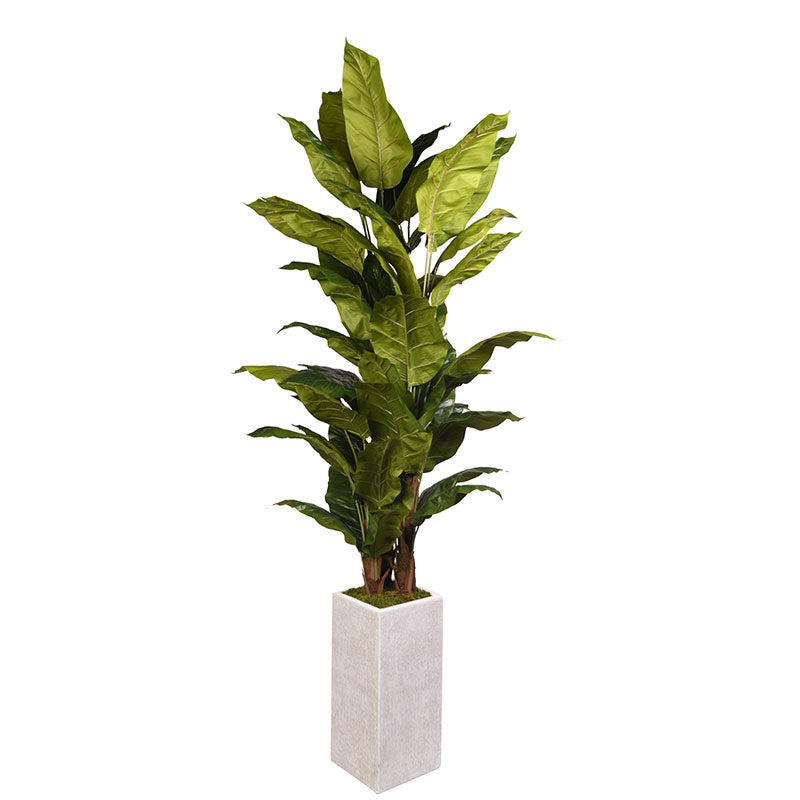 Artificial Spath Plant 8ft (Pack of 2)