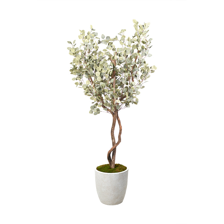 Artificial Eucalyptus Tree 7ft (Pack of 2)