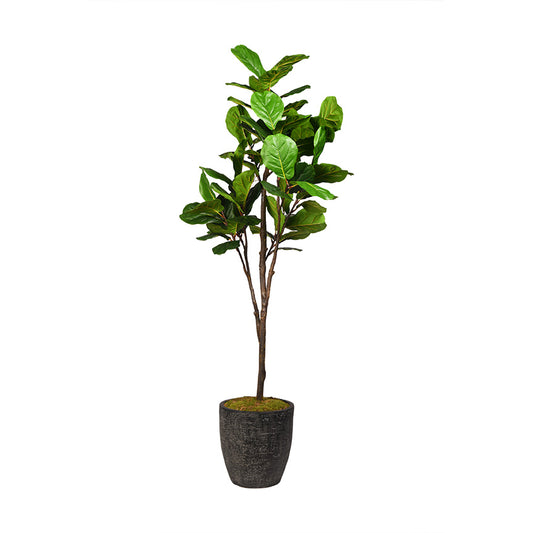 Artificial Fiddle Leaf Fig Tree 7ft (Pack of 2)